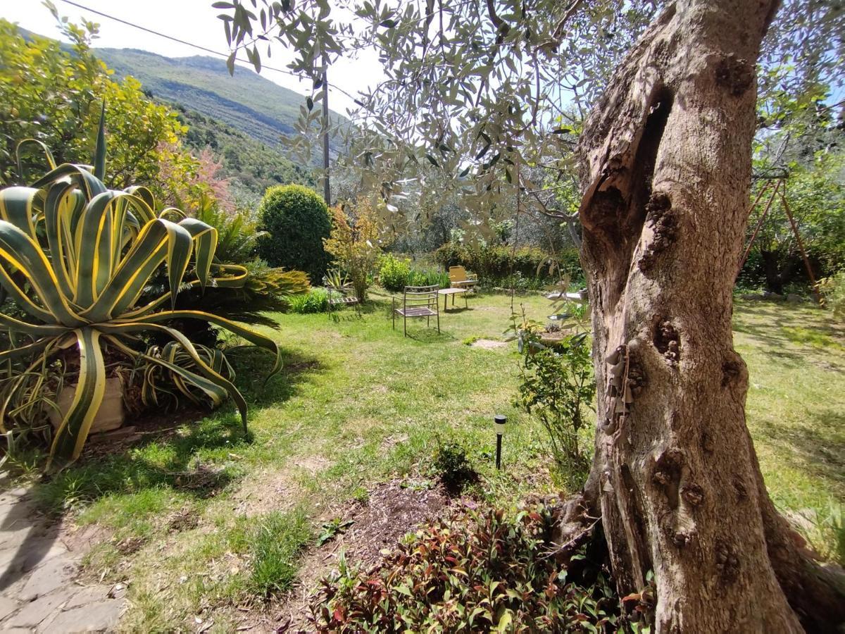 Casa Di Nin Daire Torbole Sul Garda Dış mekan fotoğraf