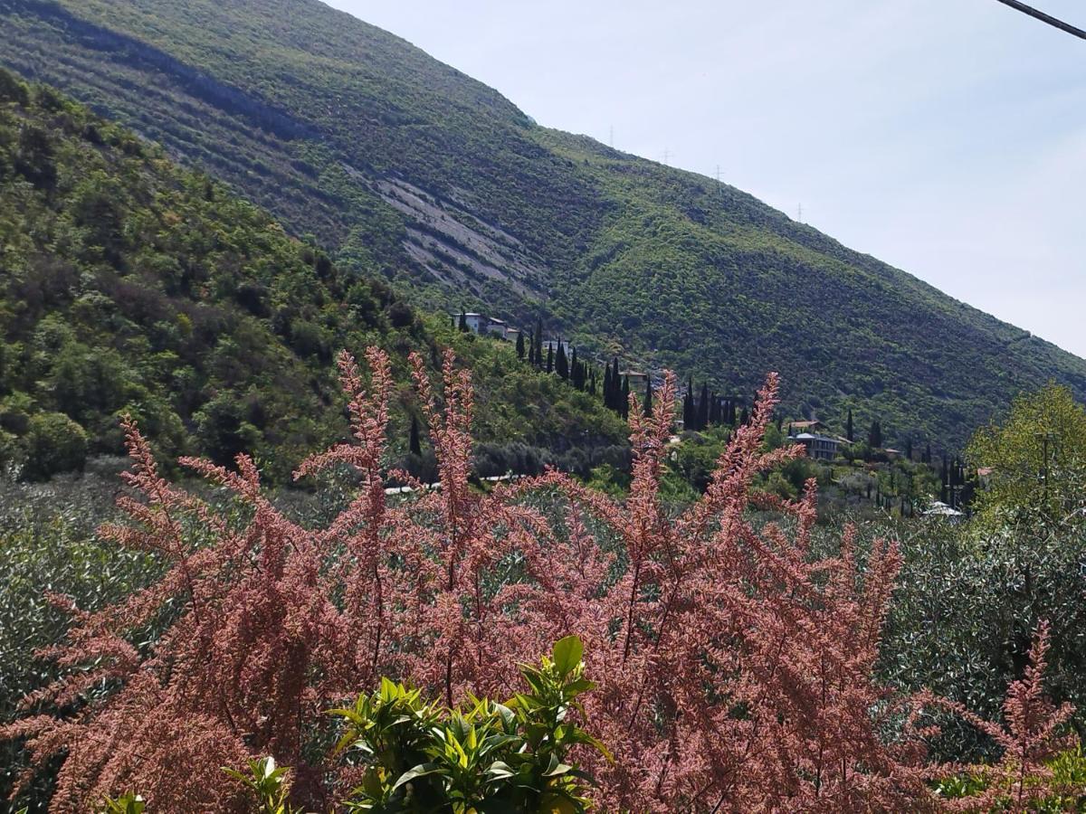 Casa Di Nin Daire Torbole Sul Garda Dış mekan fotoğraf