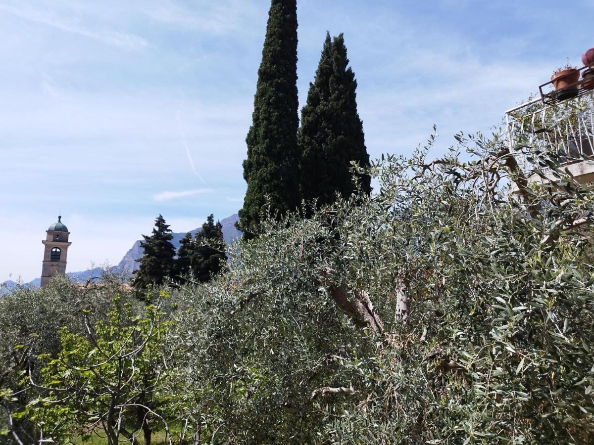 Casa Di Nin Daire Torbole Sul Garda Dış mekan fotoğraf