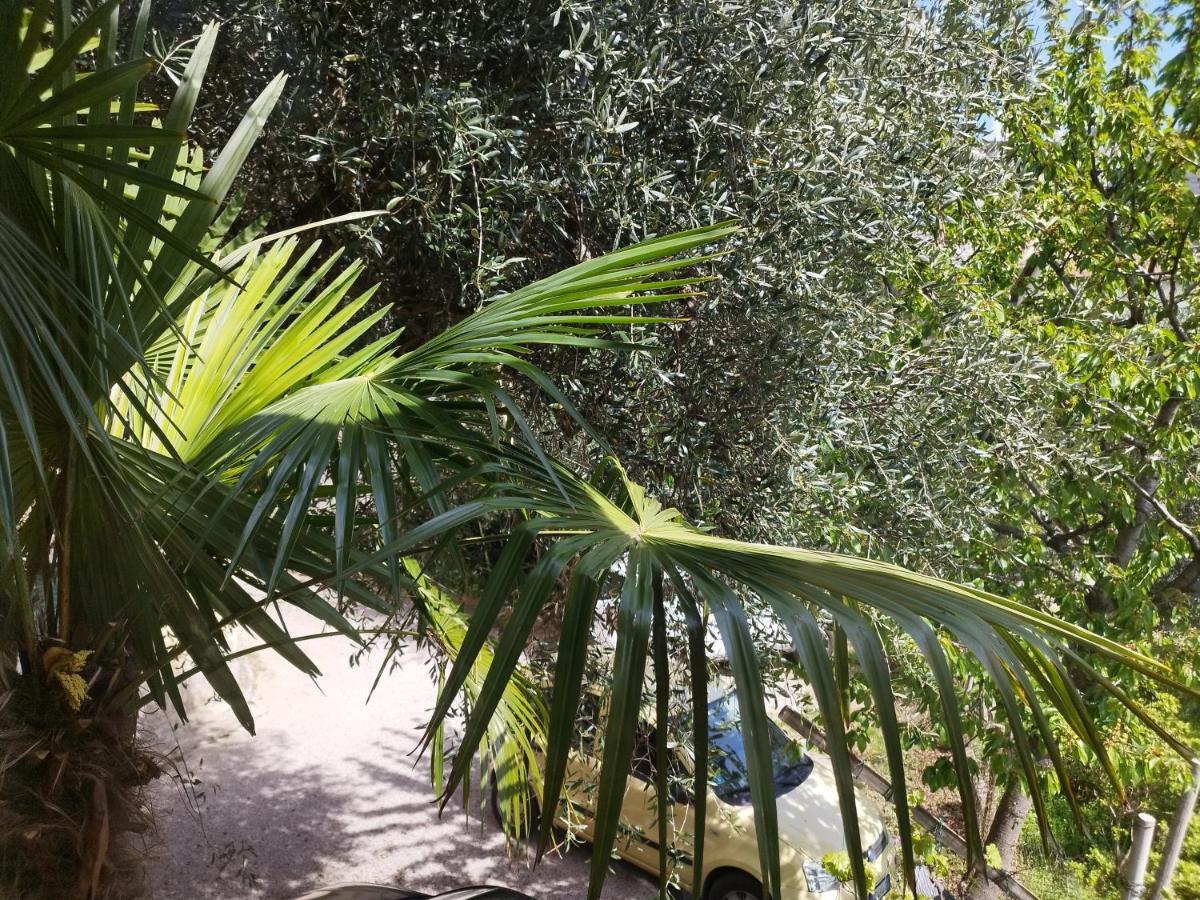 Casa Di Nin Daire Torbole Sul Garda Dış mekan fotoğraf